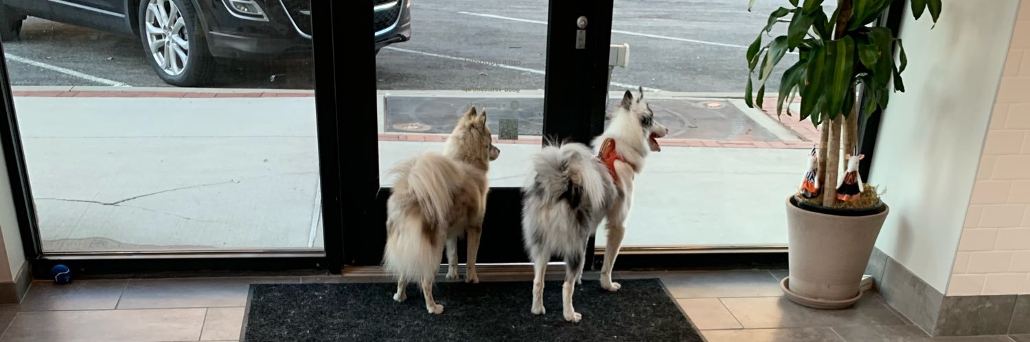 childless goose lady banner