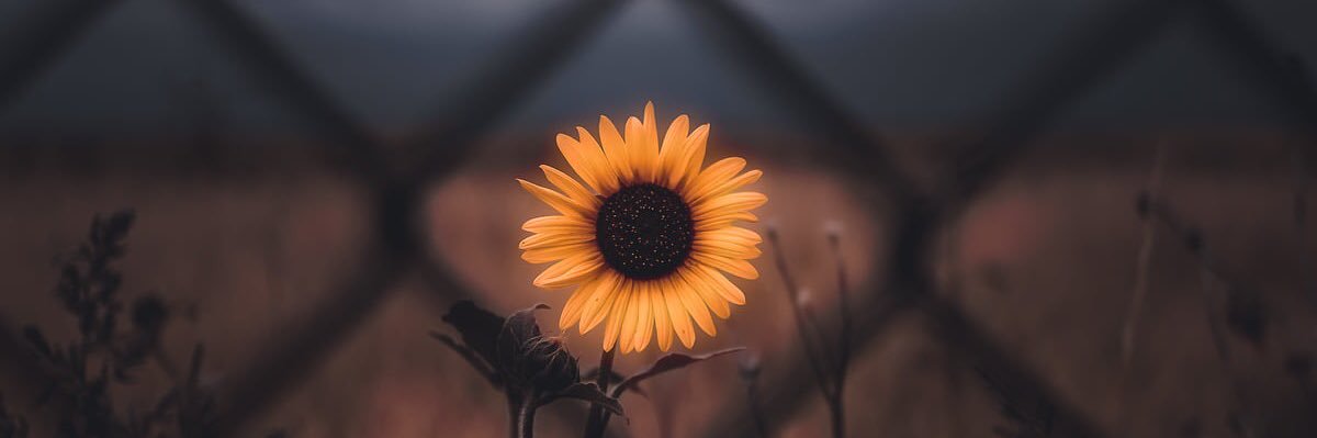 haley_roark98's profile banner image