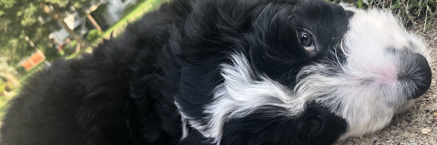 BeccaGrell's profile banner image
