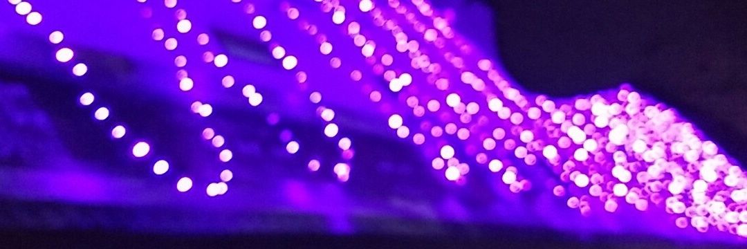 ysinghal22's profile banner image