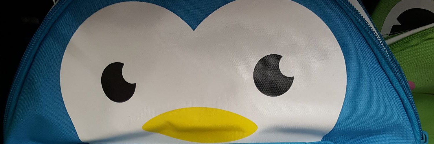 evie_rolland's profile banner image