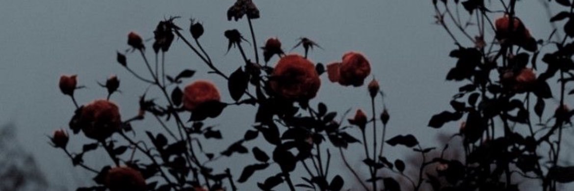 spoiledxbat's profile banner image