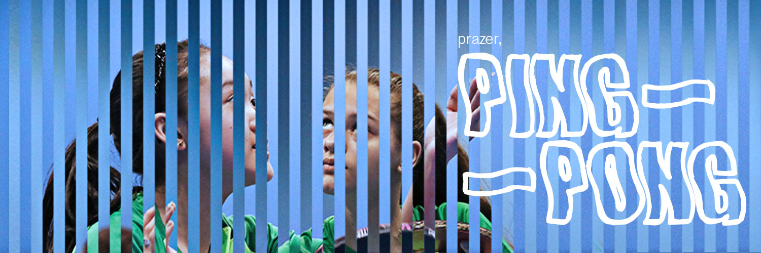 Tênis de Mesa do Brasil banner