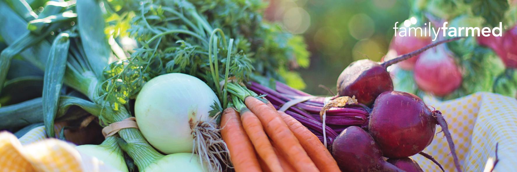 Good Food Catalyst banner