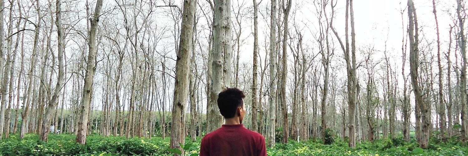 tedhinormansyah's profile banner image