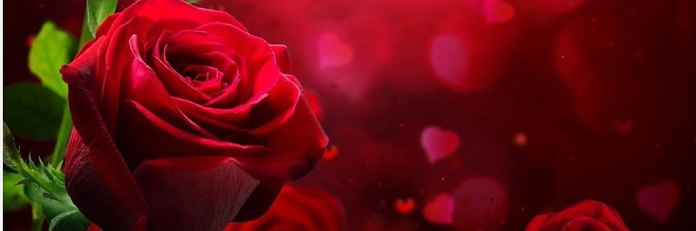 Alecaco16's profile banner image