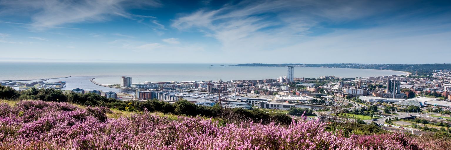 WelshWilks's profile banner image