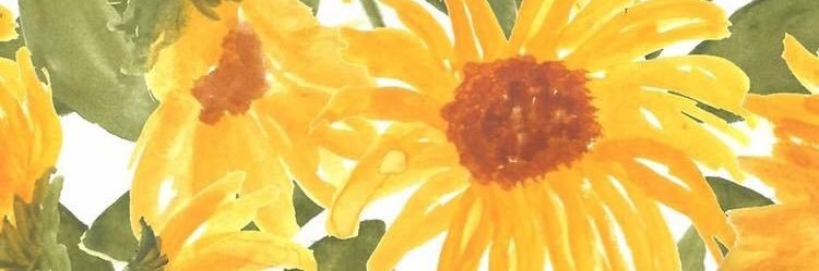 catïta ☾ banner