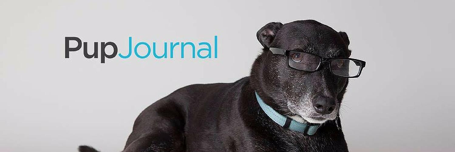 ThePupJournal's profile banner image