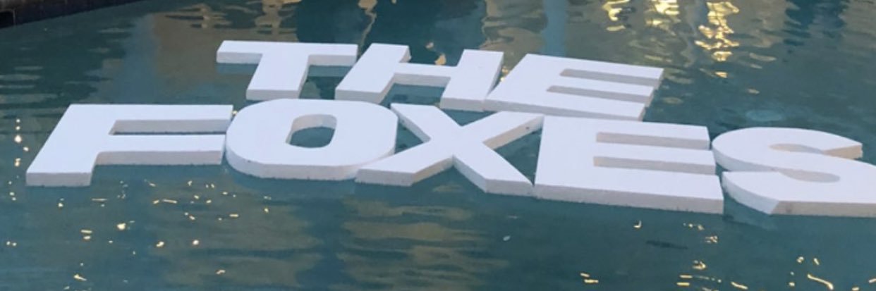 stephg_fox's profile banner image