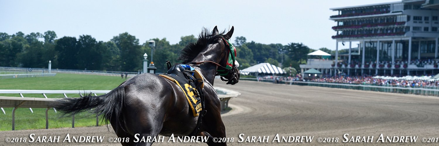 Sarah K Andrew banner