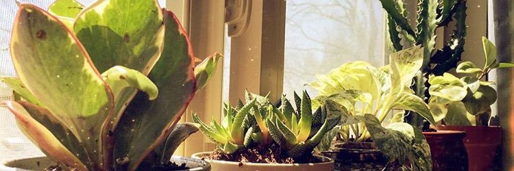 AlexDeMilto's profile banner image