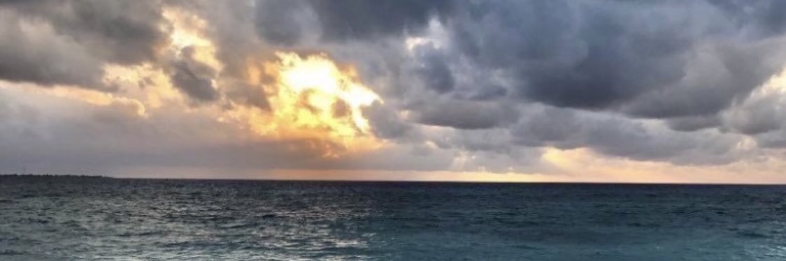 DaniaS97's profile banner image