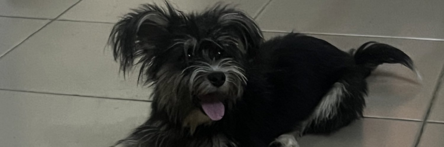 kwesiAmir's profile banner image