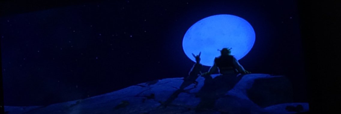 Sam_villela's profile banner image