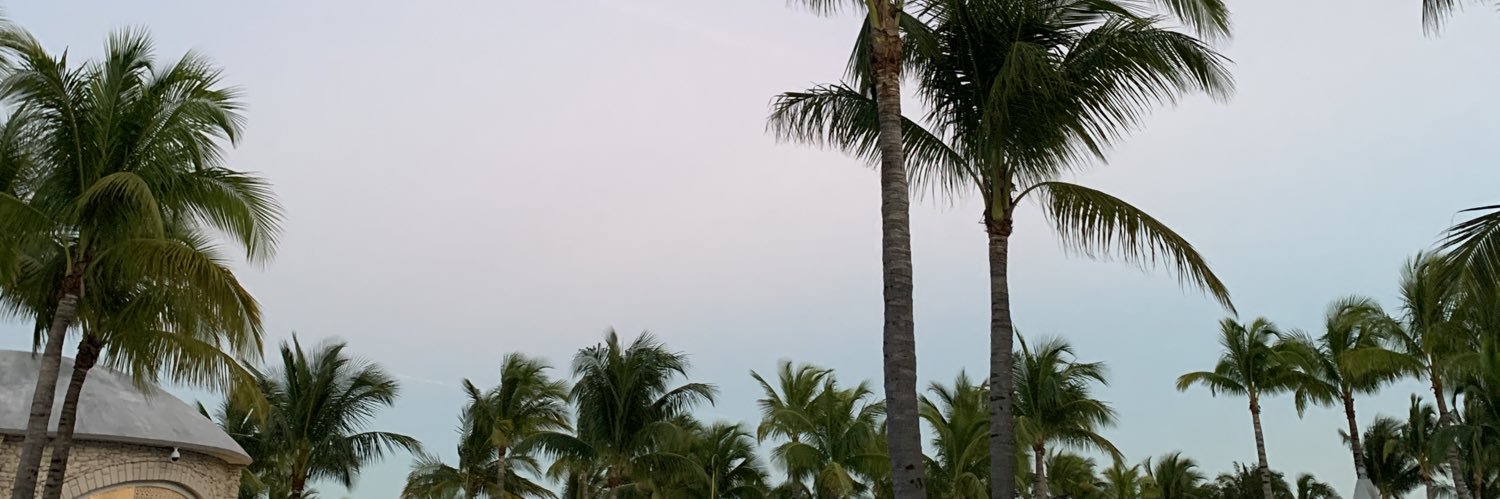 R1PiiX's profile banner image