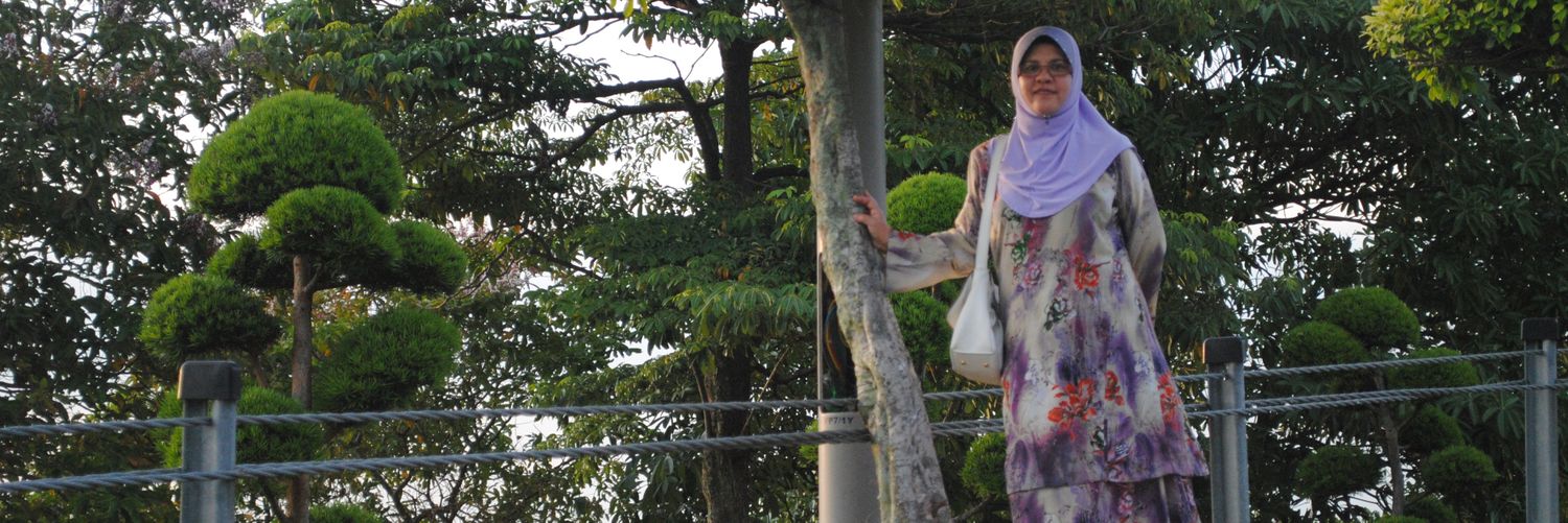 WMHaniff's profile banner image