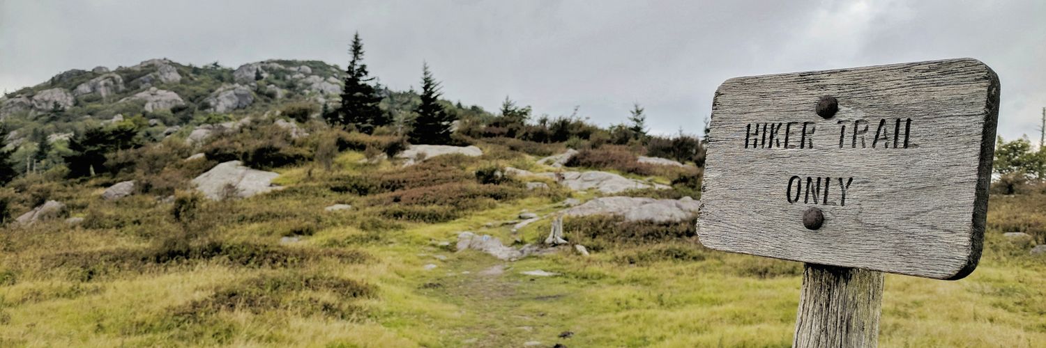 WSazehn's profile banner image
