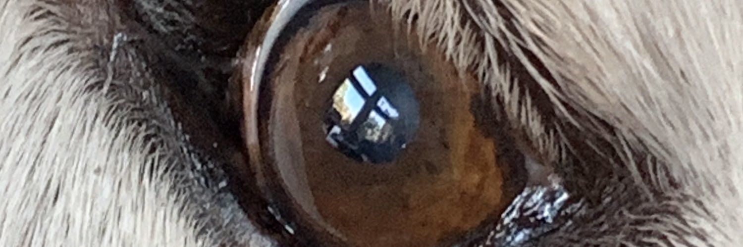 TheMostHatedManInAmerica banner