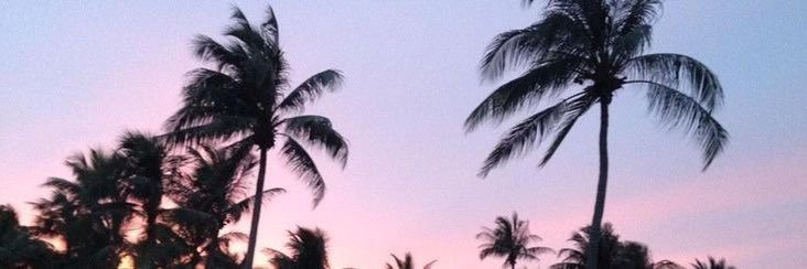 _scgonzalez's profile banner image