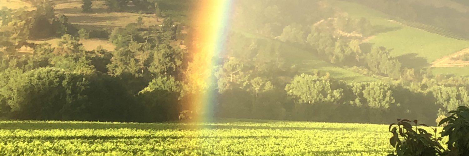 jfdb15's profile banner image