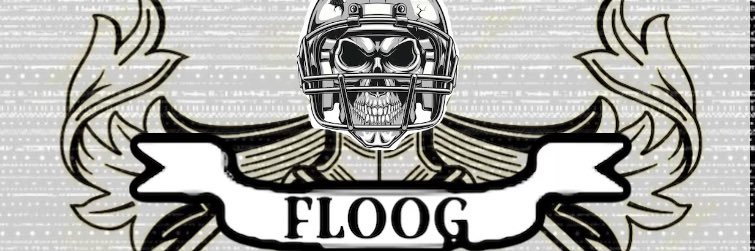 TheFLOOG_FF's profile banner image