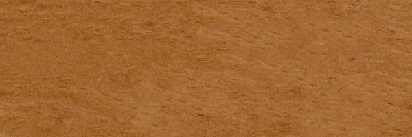 rceeofficial_ Profile Banner