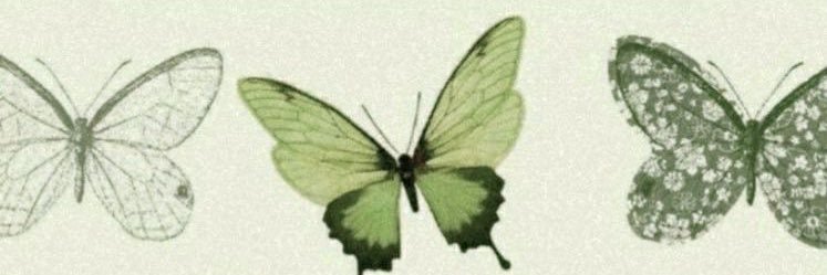voskyddl's profile banner image