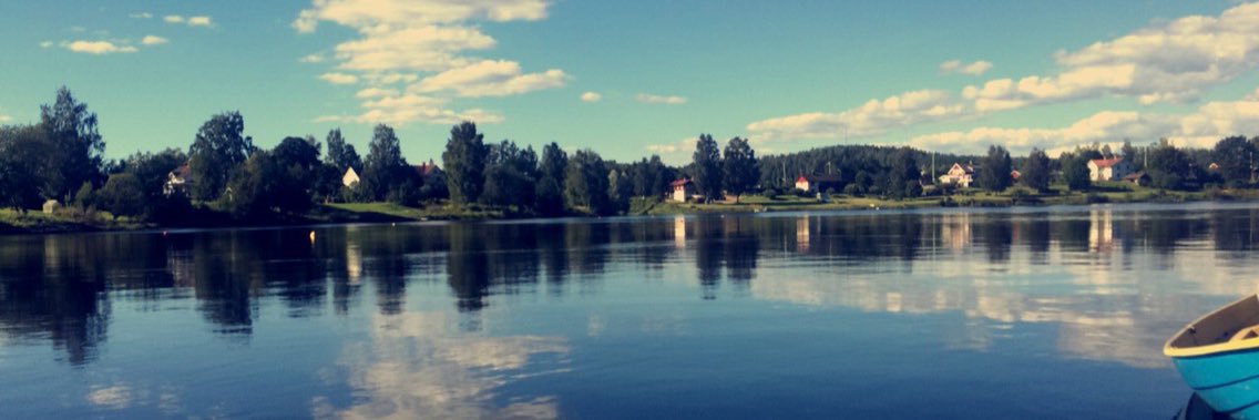 ameliegustavson's profile banner image