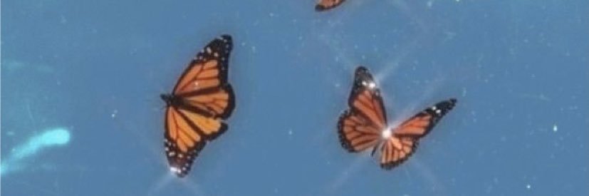 LohreyLynn's profile banner image
