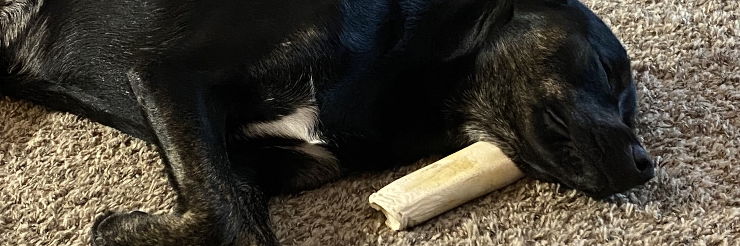 pizzacat_22's profile banner image