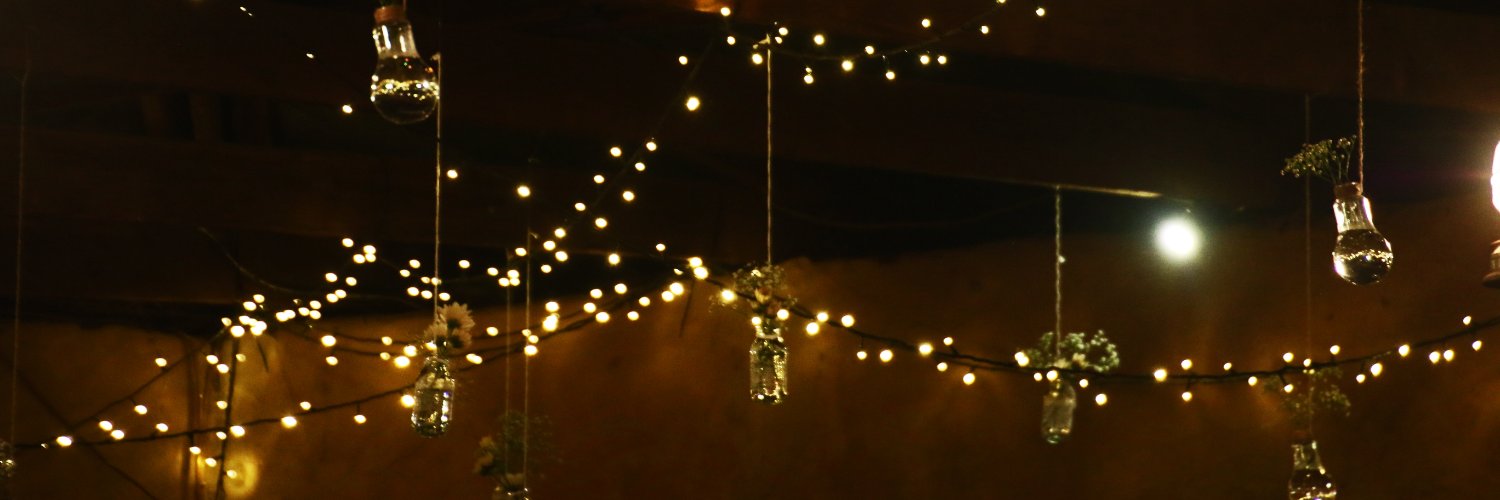 JanetteLynott's profile banner image