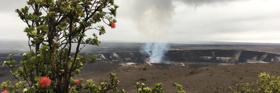 David Van Riper banner