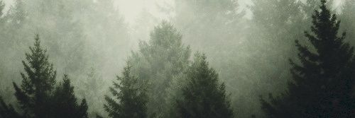 dropkicksebx's profile banner image