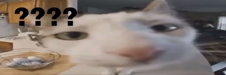 FlushNarin's profile banner image