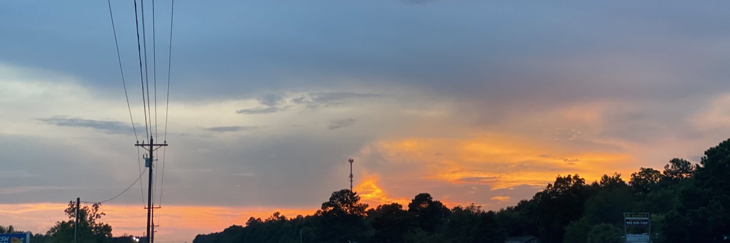 alexisdewolfee's profile banner image