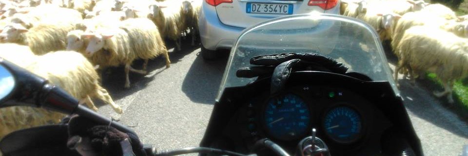 gelonet75's profile banner image