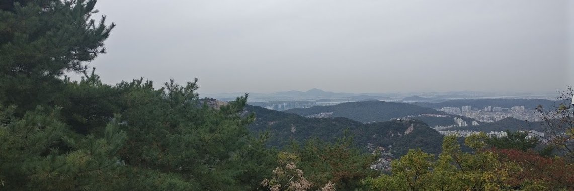 Daniel Ratcliffe banner