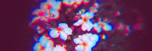 katlynnbrooks's profile banner image