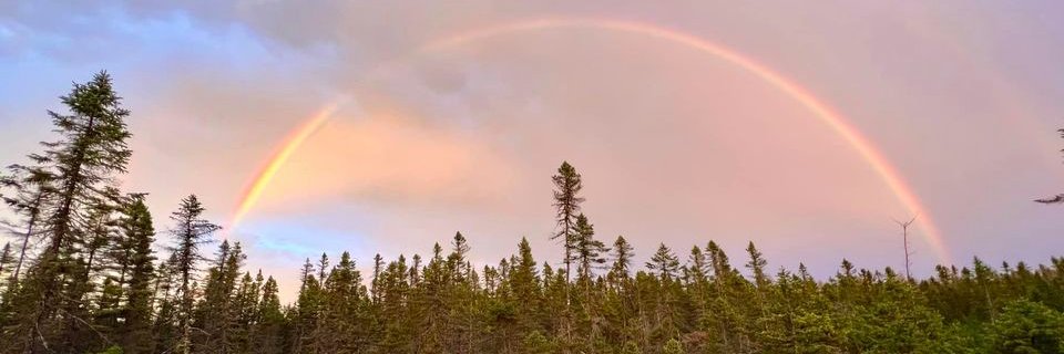 wentword's profile banner image