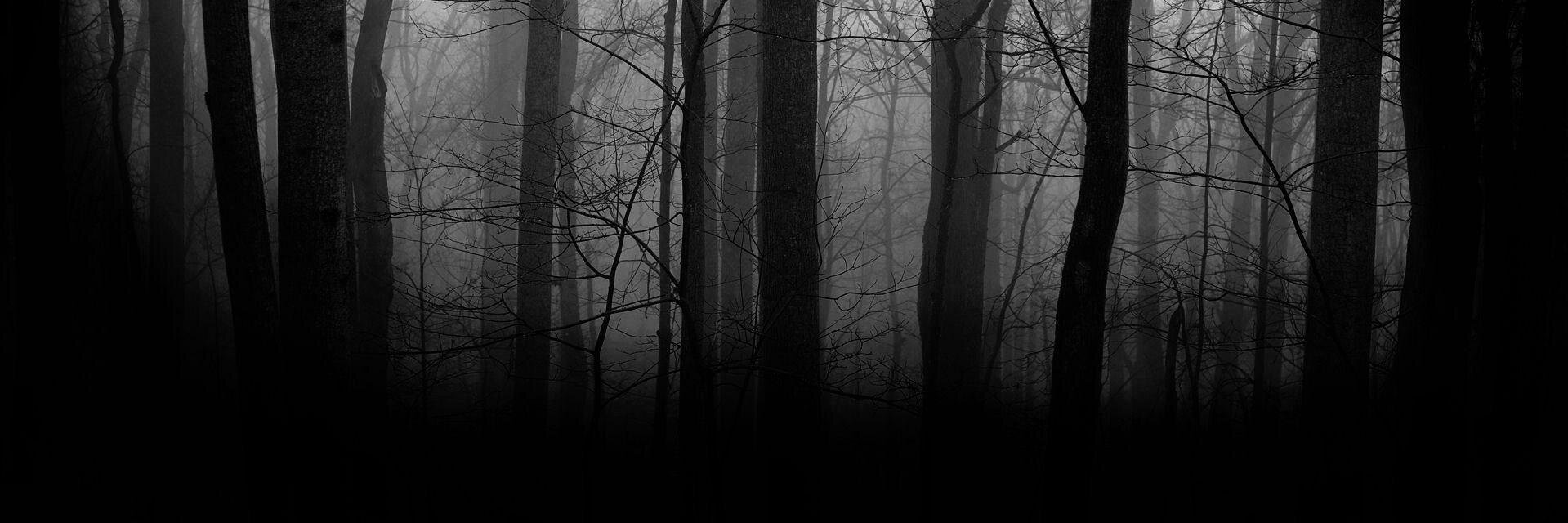 Vejopatis's profile banner image