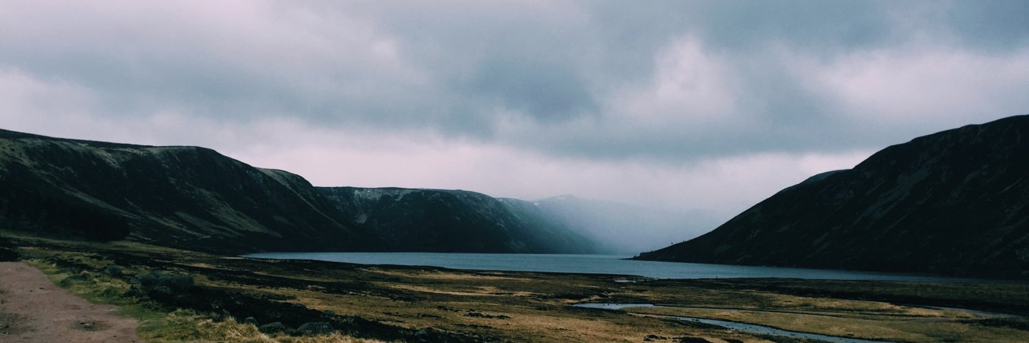 WitleyYoung's profile banner image
