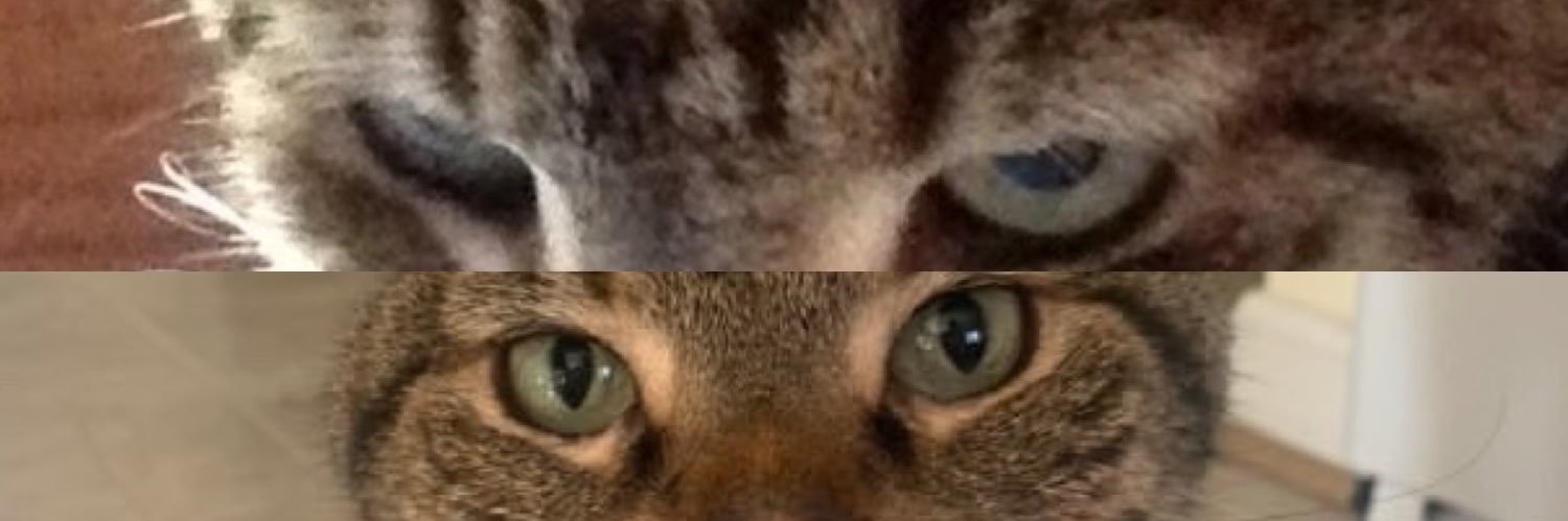 mglorioso20's profile banner image