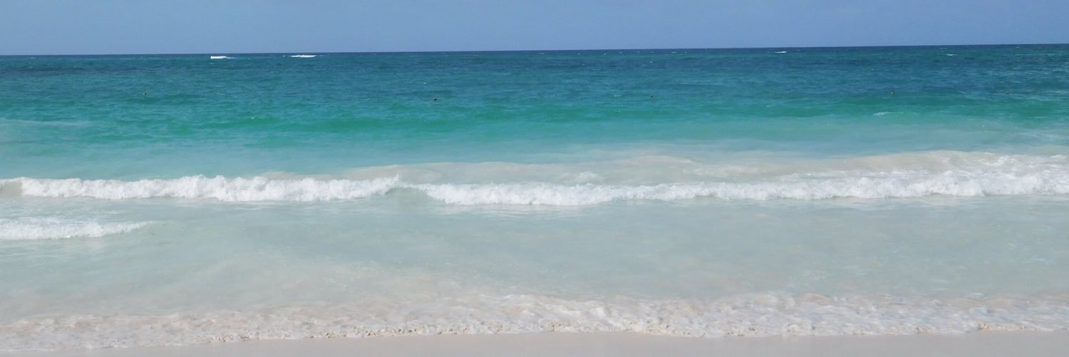emfitz1994's profile banner image