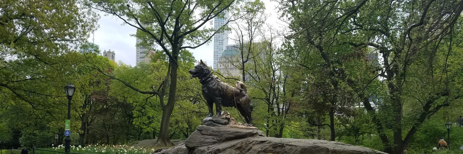 LykaiosHusky's profile banner image