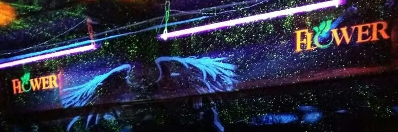 MahmoudElBakriy's profile banner image
