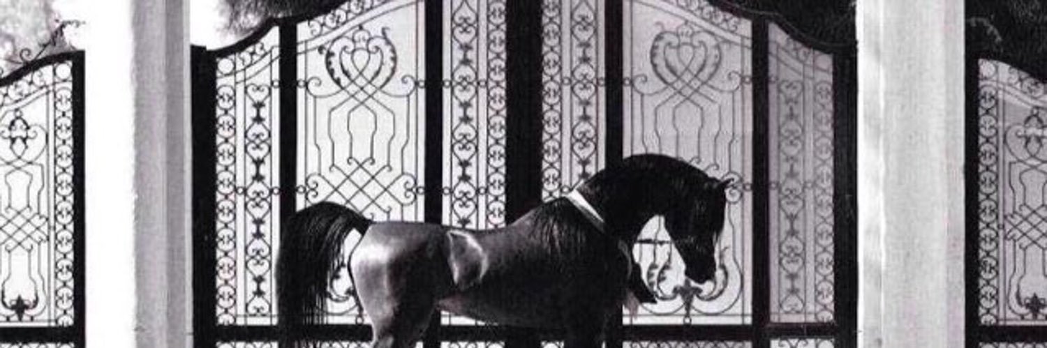 A66A66's profile banner image
