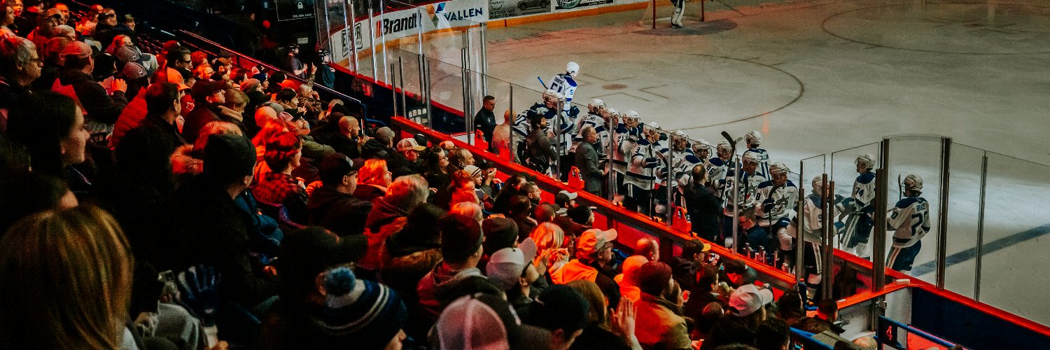Sudbury Wolves's banner