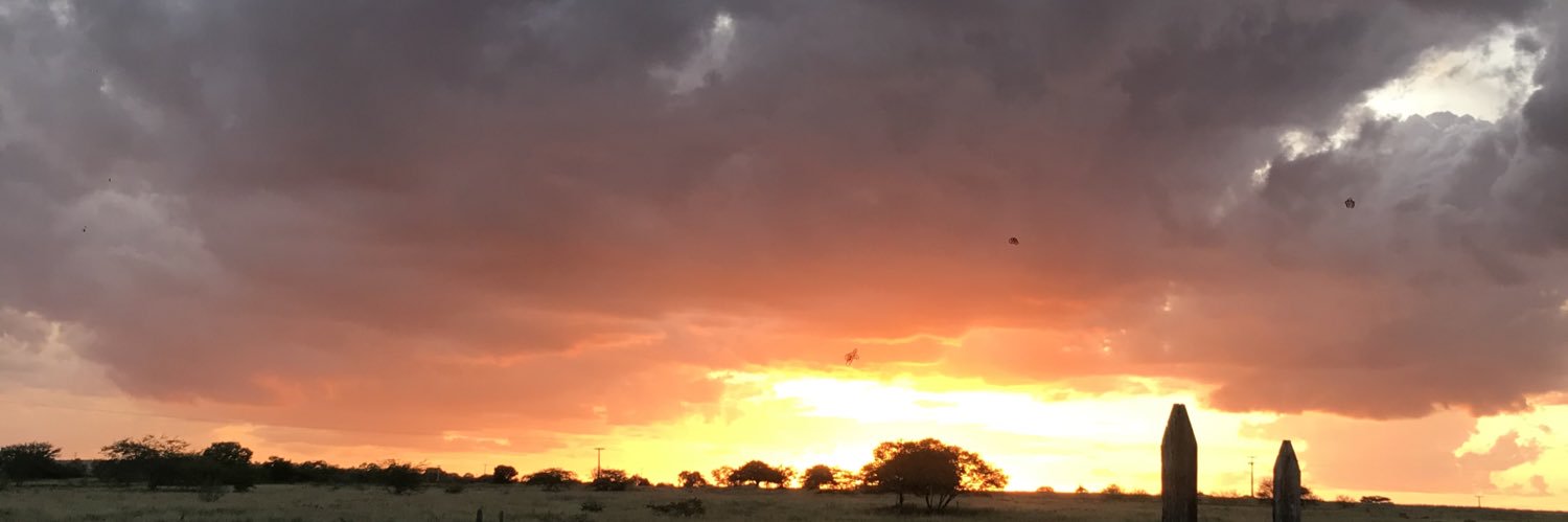 GinnoLarry's profile banner image