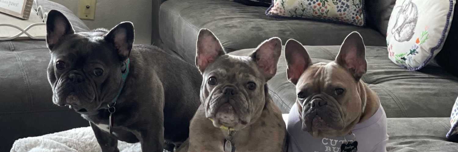 11Brett's profile banner image